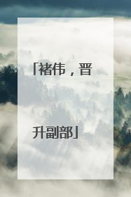 褚伟，晋升副部
